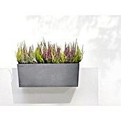 Ecopots Bruges Pflanzkasten (Außenmaß (L x B x H): 55 x 20 x 21 cm, Kunststoff, Grau) | BAUHAUS