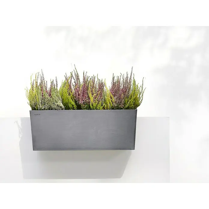 Ecopots Bruges Pflanzkasten - Außenmaß (L x B x H): 54,7 x 20 x 20,5 cm, Kunststoff, Grau - Der graue Ecopots-Blumenkasten an einer weißen Wand bepflanzt mit grünen und lila Erika sorgt für einen schönen Farbtupfer.