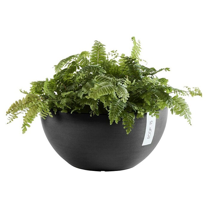 Ecopots Brussels Pflanzschale rund (Außenmaß (Ø x H): 35 x 16,7 cm, Kunststoff, Dunkelgrau) | BAUHAUS
