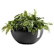Ecopots Brussels Pflanzschale rund (Außenmaß (Ø x H): 35 x 16,7 cm, Kunststoff, Dunkelgrau) | BAUHAUS