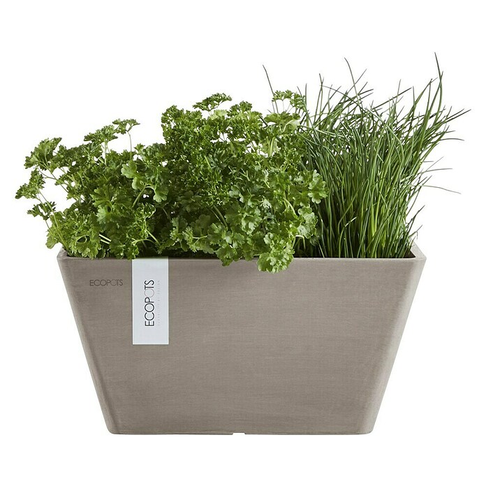 Ecopots Berlin Pflanzschale eckig (Außenmaß (L x B x H): 25,5 x 25,5 x 13 cm, Kunststoff, Taupe) | BAUHAUS