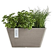 Ecopots Berlin Pflanzschale eckig (Außenmaß (L x B x H): 25,5 x 25,5 x 13 cm, Kunststoff, Taupe) | BAUHAUS