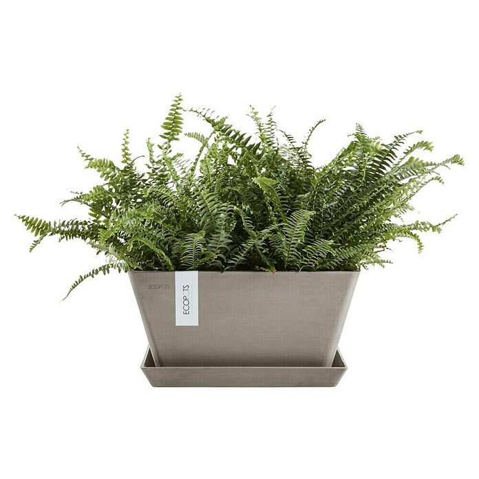 Ecopots Berlin Pflanzschale eckig (Außenmaß (L x B x H): 25,5 x 25,5 x 13 cm, Kunststoff, Taupe) | BAUHAUS
