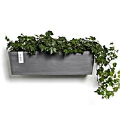 Ecopots Pflanzkasten Manhatten (Außenmaß (L x B x H): 55 x 17,2 x 15,3 cm, Kunststoff, Grau, L) | BAUHAUS