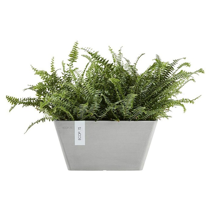 Ecopots Berlin Pflanzschale eckig (Außenmaß (L x B x H): 25,5 x 25,5 x 13 cm, Kunststoff, Weiß Grau) | BAUHAUS