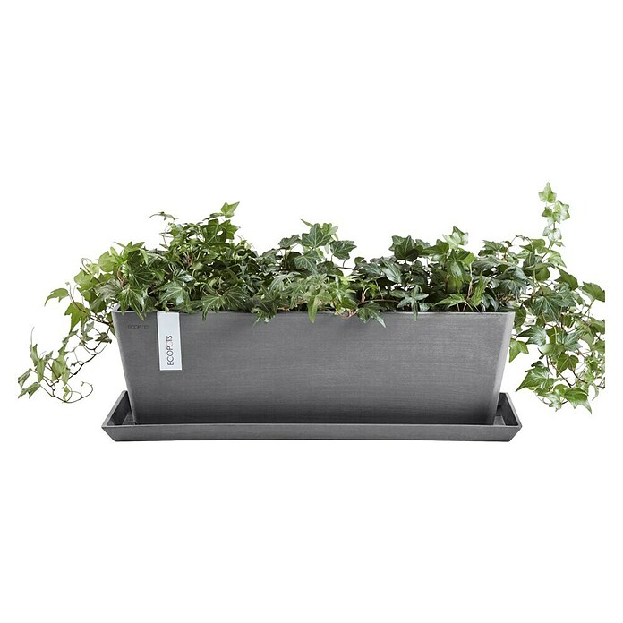 Ecopots Bruges Pflanzkasten mit Wasserreservoir (Außenmaß (L x B x H): 44,8 x 17 x 17,3 cm, Kunststoff, Grau) | BAUHAUS