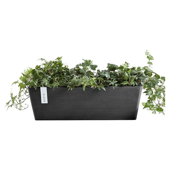 Ecopots Bruges Pflanzkasten mit Wasserreservoir (Außenmaß (L x B x H): 44,8 x 17 x 17,3 cm, Kunststoff, Dunkelgrau) | BAUHAUS