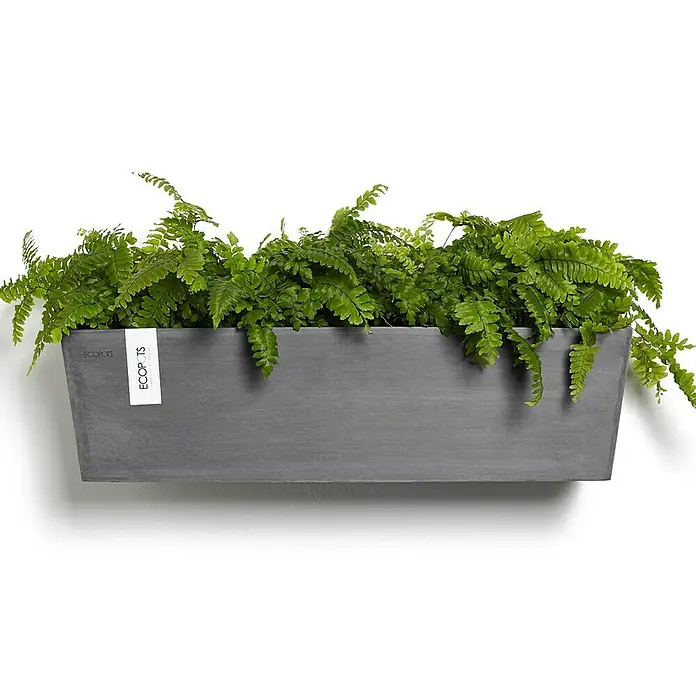 Ecopots Pflanzkasten Manhatten - Außenmaß (L x B x H): 55 x 17,2 x 15,3 cm, Kunststoff, Grau, L - Grauer ECCOPOTS-Pflanzkasten an einer weißen Wand, gefüllt mit üppigen grünen Farnen, die eine natürliche und elegante Dekoration bilden.
