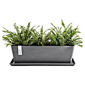 Ecopots Bruges Pflanzkasten mit Wasserreservoir (Außenmaß (L x B x H): 55,3 x 16,5 x 17,5 cm, Kunststoff, Grau) | BAUHAUS
