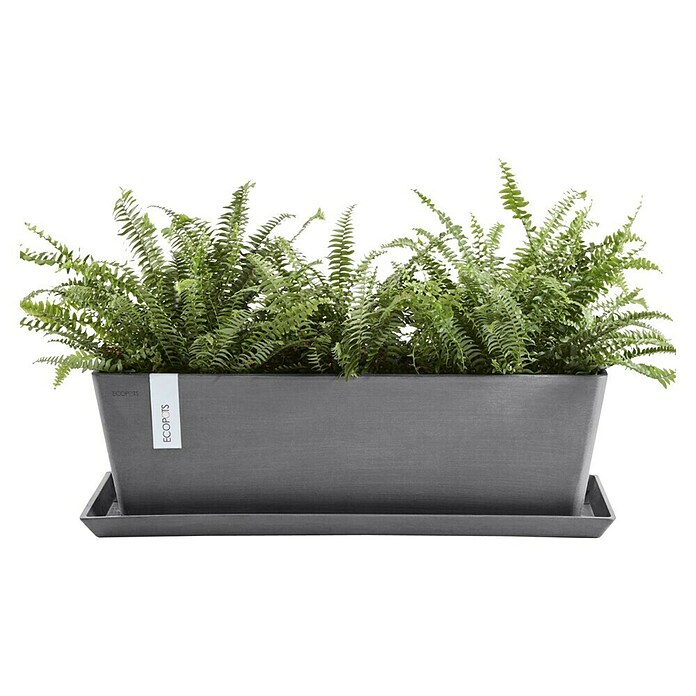 Ecopots Bruges Pflanzkasten mit Wasserreservoir (Außenmaß (L x B x H): 44,8 x 17 x 17,3 cm, Kunststoff, Grau) | BAUHAUS