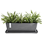 Ecopots Bruges Pflanzkasten mit Wasserreservoir (Außenmaß (L x B x H): 44,8 x 17 x 17,3 cm, Kunststoff, Grau) | BAUHAUS