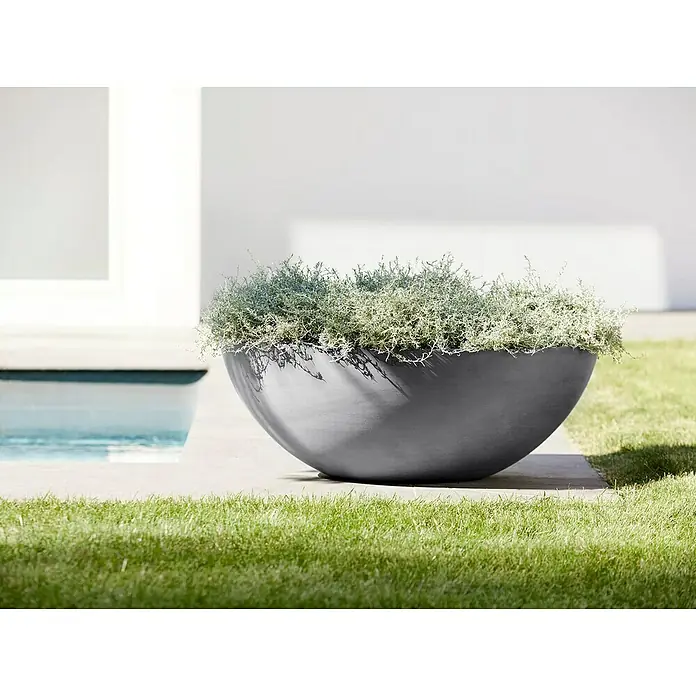 Ecopots Pflanzschale rund Vienna - Außenmaß (Ø x H): 70 x 25,3 cm, Grau - Ein großer, runder Pflanzkübel in elegantem Grau, bepflanzt mit üppigem Grün, steht stilvoll im Garten neben dem Pool.