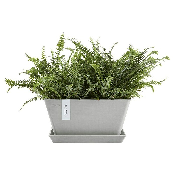 Ecopots Berlin Pflanzschale eckig (Außenmaß (L x B x H): 25,5 x 25,5 x 13 cm, Kunststoff, Weiß Grau) | BAUHAUS