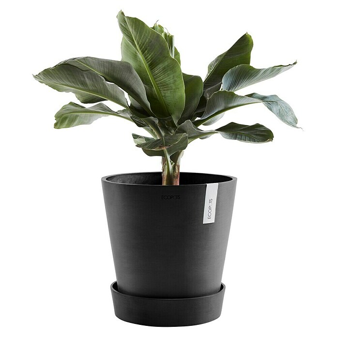Ecopots Amsterdam Blumentopf-Untersetzer mit Rollen (Außenmaß (Ø x H): 28,7 x 8,3 cm, Kunststoff, Dunkelgrau) | BAUHAUS