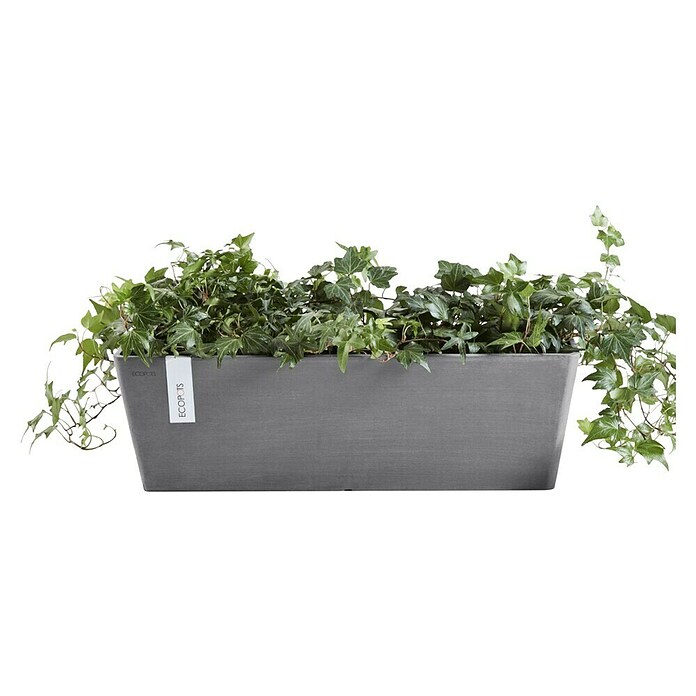 Ecopots Bruges Pflanzkasten mit Wasserreservoir (Außenmaß (L x B x H): 44,8 x 17 x 17,3 cm, Kunststoff, Grau) | BAUHAUS