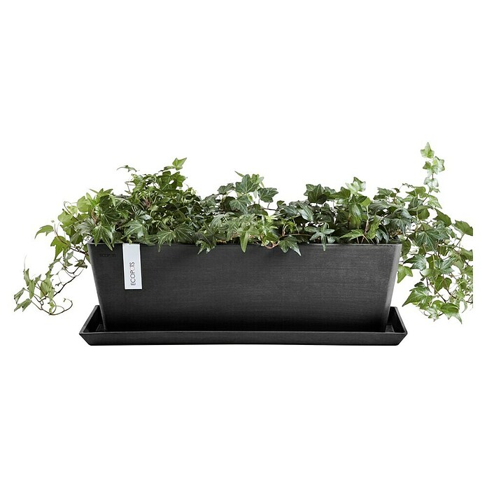 Ecopots Bruges Pflanzkasten mit Wasserreservoir (Außenmaß (L x B x H): 44,8 x 17 x 17,3 cm, Kunststoff, Dunkelgrau) | BAUHAUS