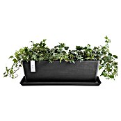 Ecopots Bruges Pflanzkasten mit Wasserreservoir (Außenmaß (L x B x H): 44,8 x 17 x 17,3 cm, Kunststoff, Dunkelgrau) | BAUHAUS