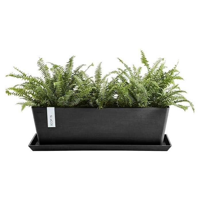 Ecopots Bruges Pflanzkasten mit Wasserreservoir (Außenmaß (L x B x H): 55,3 x 16,5 x 17,5 cm, Kunststoff, Dunkelgrau) | BAUHAUS