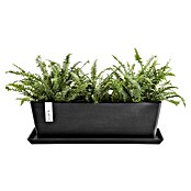 Ecopots Bruges Pflanzkasten mit Wasserreservoir (Außenmaß (L x B x H): 55,3 x 16,5 x 17,5 cm, Kunststoff, Dunkelgrau) | BAUHAUS