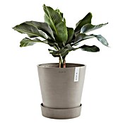 Ecopots Amsterdam Blumentopf-Untersetzer mit Rollen (Außenmaß (Ø x H): 28,7 x 8,3 cm, Kunststoff, Taupe) | BAUHAUS
