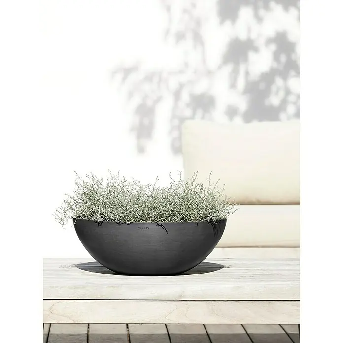 Ecopots Pflanzschale rund Vienna - Außenmaß (Ø x H): 50,4 x 18,5 cm, Dunkelgrau - Nahaufnahme eines schwarzen Pflanzgefäßes der Marke Ecopots mit einer filigranen Pflanze auf einem Holztisch im Freien.