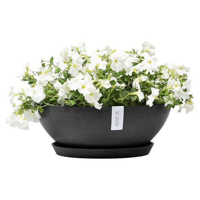 Ecopots Pflanzschale Vienna (Außenmaß (Ø x H): 50,4 x 18,5 cm, Dunkelgrau) | BAUHAUS