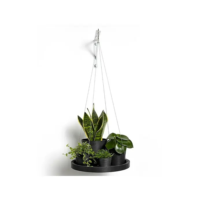 Ecopots Blumenampel - Außenmaß (Ø x H): 36 x 3 cm, Kunststoff, Dunkelgrau - Eine hängende Pflanzenetagere mit verschiedenen Grünpflanzen in schwarzen Töpfen, die von der Decke hängt, für eine stilvolle Präsentation.
