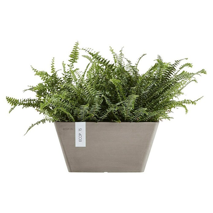 Ecopots Berlin Pflanzschale eckig (Außenmaß (L x B x H): 25,5 x 25,5 x 13 cm, Kunststoff, Taupe) | BAUHAUS