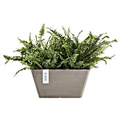 Ecopots Berlin Pflanzschale eckig (Außenmaß (L x B x H): 25,5 x 25,5 x 13 cm, Kunststoff, Taupe) | BAUHAUS
