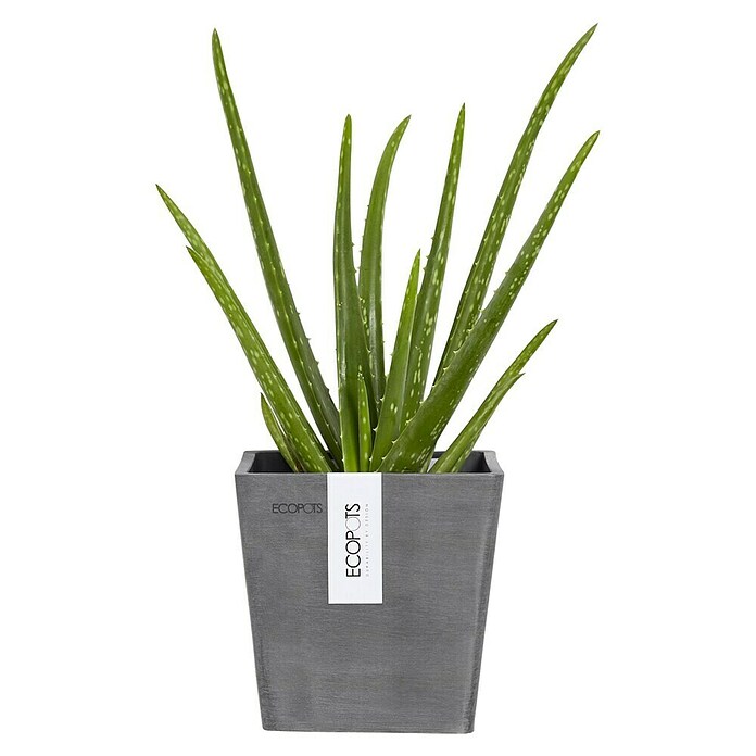 Ecopots Pflanzkasten Manhatten (Außenmaß (L x B x H): 15 x 17,2 x 15 cm, Kunststoff, Grau, S) | BAUHAUS