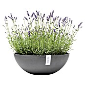 Ecopots Pflanzschale Vienna (Außenmaß (Ø x H): 50,4 x 18,5 cm, Grau) | BAUHAUS