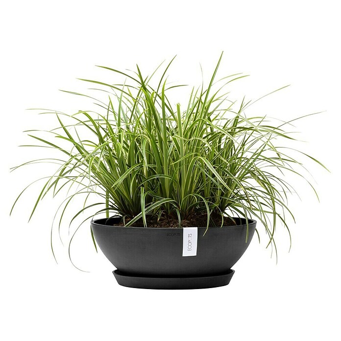 Ecopots Pflanzschale Vienna (Außenmaß (Ø x H): 50,4 x 18,5 cm, Dunkelgrau) | BAUHAUS