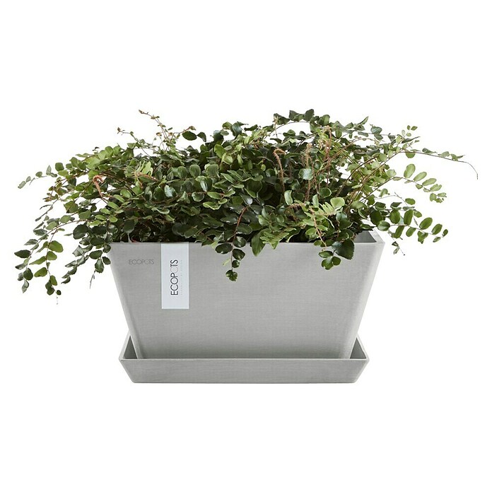 Ecopots Berlin Pflanzschale eckig (Außenmaß (L x B x H): 25,5 x 25,5 x 13 cm, Kunststoff, Weiß Grau) | BAUHAUS