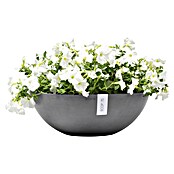 Ecopots Pflanzschale Vienna (Außenmaß (Ø x H): 50,4 x 18,5 cm, Grau) | BAUHAUS