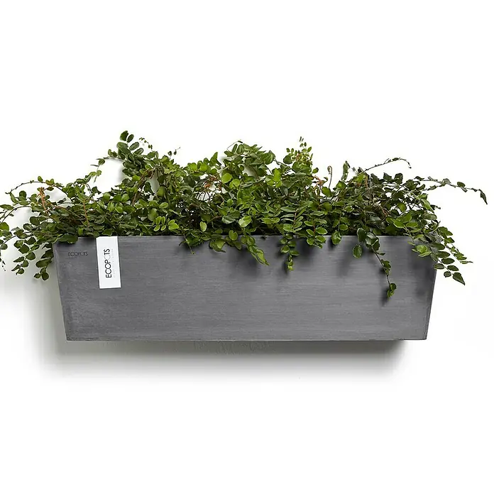 Ecopots Pflanzkasten Manhatten - Außenmaß (L x B x H): 55 x 17,2 x 15,3 cm, Kunststoff, Grau, L - Grauer ECOPOTS Pflanzkasten mit üppigem Grün bepflanzt, ideal für stilvolle Wanddekorationen im Innen- und Außenbereich.