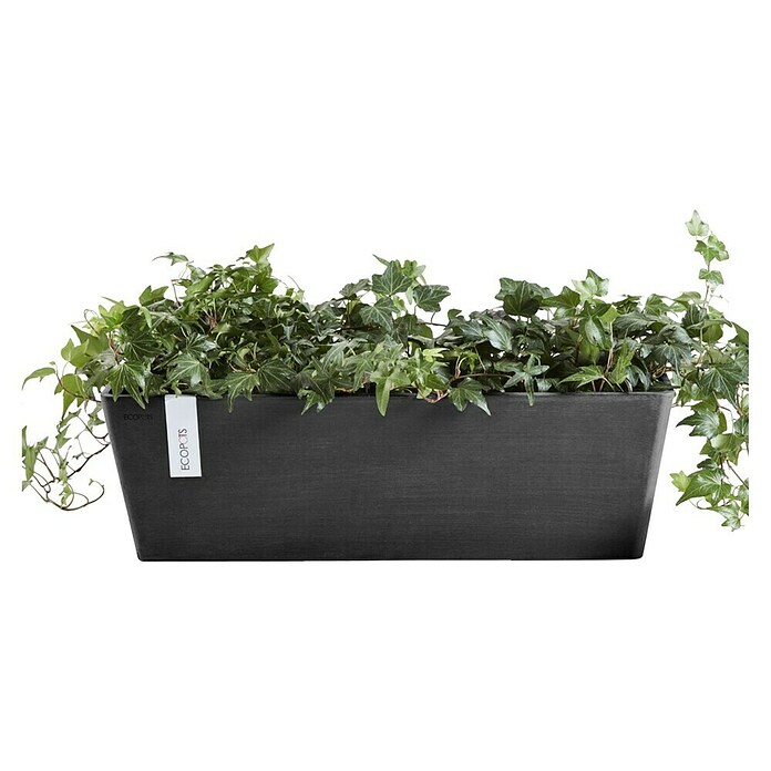 Ecopots Bruges Pflanzkasten mit Wasserreservoir (Außenmaß (L x B x H): 55,3 x 16,5 x 17,5 cm, Kunststoff, Dunkelgrau) | BAUHAUS