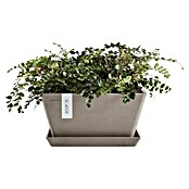 Ecopots Berlin Pflanzschale eckig (Außenmaß (L x B x H): 25,5 x 25,5 x 13 cm, Kunststoff, Taupe) | BAUHAUS