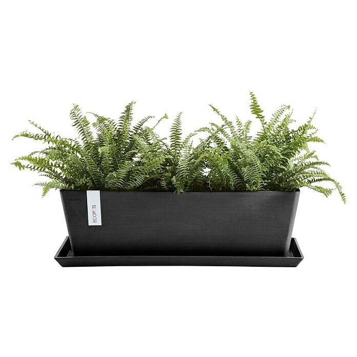 Ecopots Bruges Pflanzkasten mit Wasserreservoir (Außenmaß (L x B x H): 44,8 x 17 x 17,3 cm, Kunststoff, Dunkelgrau) | BAUHAUS