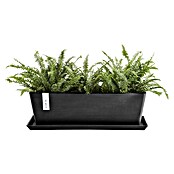 Ecopots Bruges Pflanzkasten mit Wasserreservoir (Außenmaß (L x B x H): 44,8 x 17 x 17,3 cm, Kunststoff, Dunkelgrau) | BAUHAUS