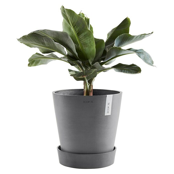 Ecopots Amsterdam Blumentopf-Untersetzer mit Rollen (Außenmaß (Ø x H): 28,7 x 8,3 cm, Kunststoff, Grau) | BAUHAUS