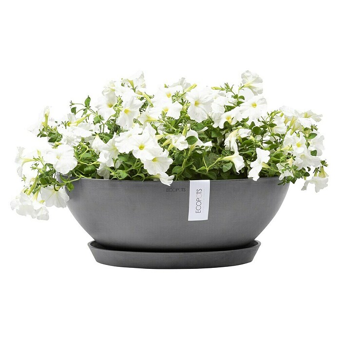 Ecopots Pflanzschale Vienna (Außenmaß (Ø x H): 50,4 x 18,5 cm, Grau) | BAUHAUS