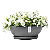 Ecopots Pflanzschale Vienna (Außenmaß (Ø x H): 50,4 x 18,5 cm, Grau) | BAUHAUS