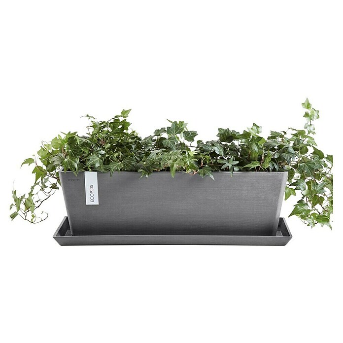 Ecopots Bruges Pflanzkasten mit Wasserreservoir (Außenmaß (L x B x H): 55,3 x 16,5 x 17,5 cm, Kunststoff, Grau) | BAUHAUS