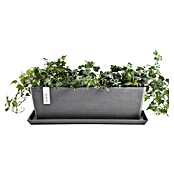 Ecopots Bruges Pflanzkasten mit Wasserreservoir (Außenmaß (L x B x H): 55,3 x 16,5 x 17,5 cm, Kunststoff, Grau) | BAUHAUS