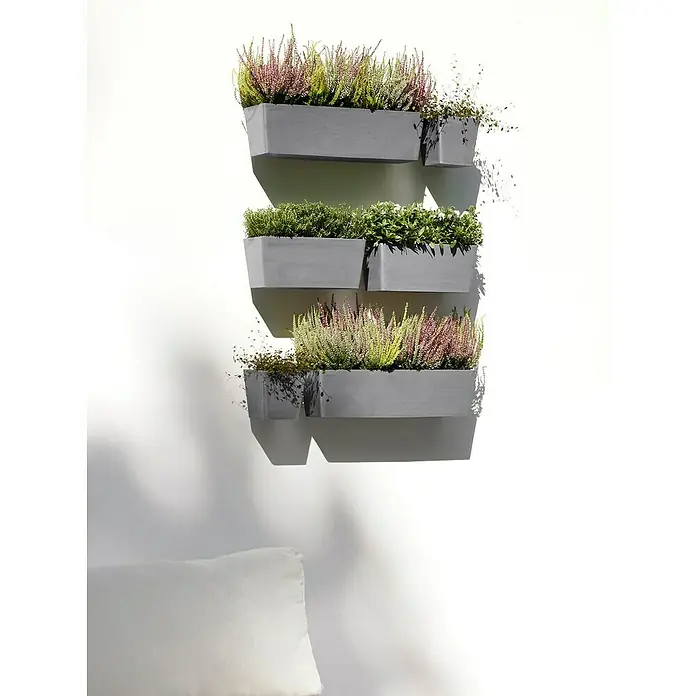 Ecopots Pflanzkasten Manhatten - Außenmaß (L x B x H): 55 x 17,2 x 15,3 cm, Kunststoff, Grau, L - Vertikaler Garten mit drei grauen Pflanzkästen an einer weißen Wand, bepflanzt mit verschiedenen Kräutern und Pflanzen.