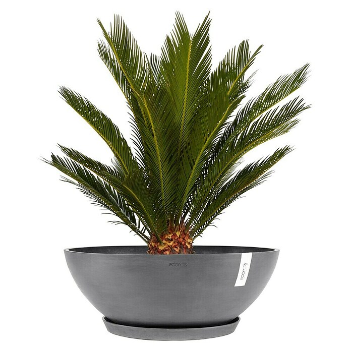 Ecopots Pflanzschale Vienna (Außenmaß (Ø x H): 70 x 25,3 cm, Grau) | BAUHAUS