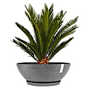 Ecopots Pflanzschale Vienna (Außenmaß (Ø x H): 70 x 25,3 cm, Grau) | BAUHAUS