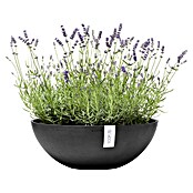 Ecopots Pflanzschale Vienna (Außenmaß (Ø x H): 50,4 x 18,5 cm, Dunkelgrau) | BAUHAUS
