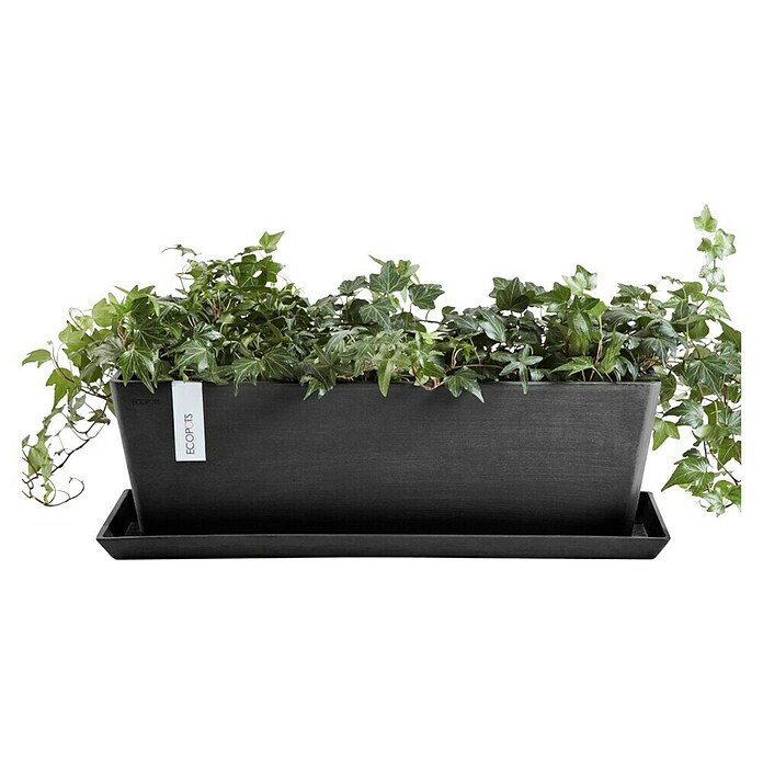 Ecopots Bruges Pflanzkasten mit Wasserreservoir (Außenmaß (L x B x H): 55,3 x 16,5 x 17,5 cm, Kunststoff, Dunkelgrau) | BAUHAUS