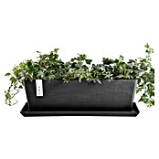 Ecopots Bruges Pflanzkasten mit Wasserreservoir (Außenmaß (L x B x H): 55,3 x 16,5 x 17,5 cm, Kunststoff, Dunkelgrau) | BAUHAUS